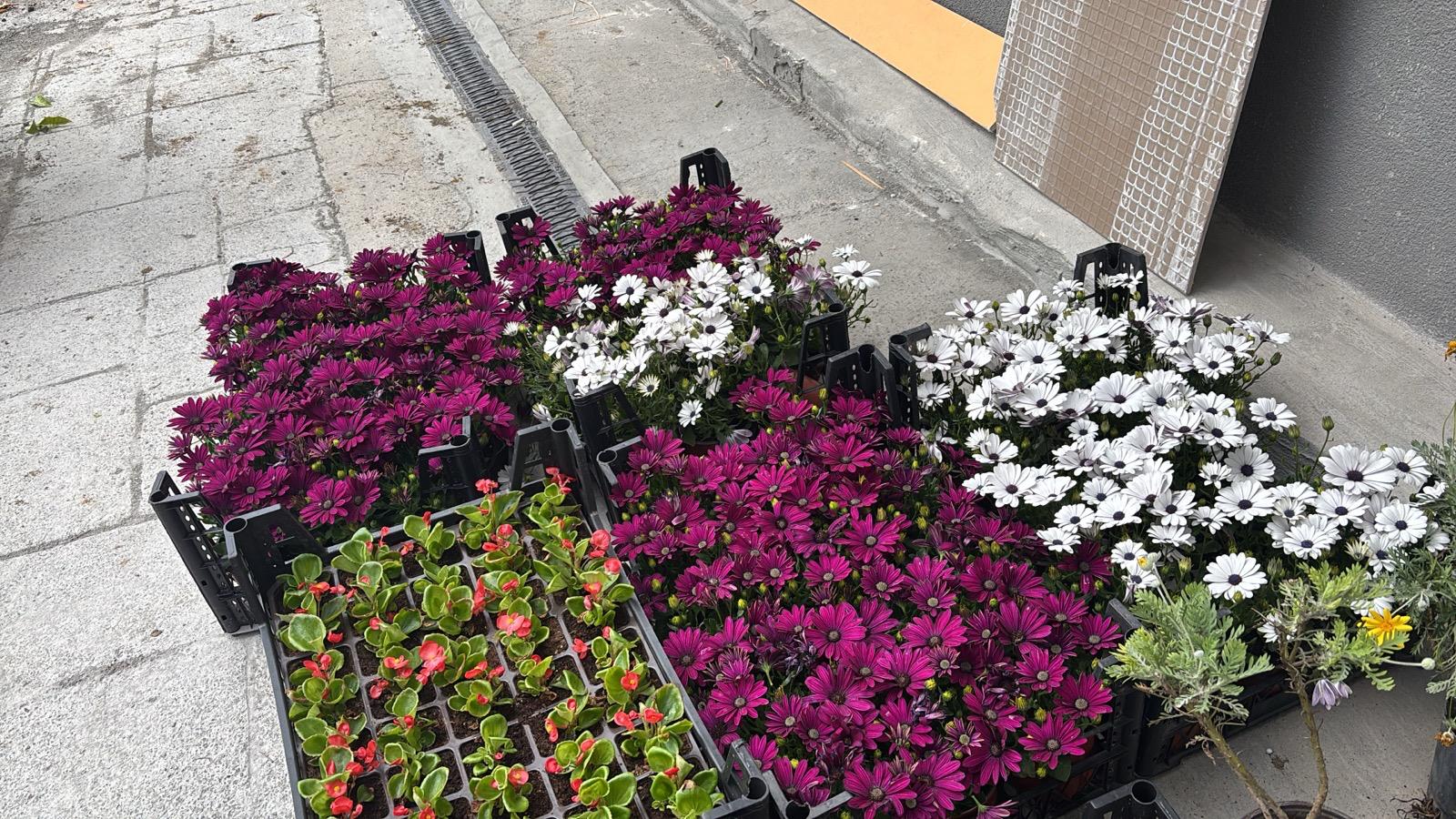 GÜNEŞ TARIM PEYZAJ VE TEMİZLİK